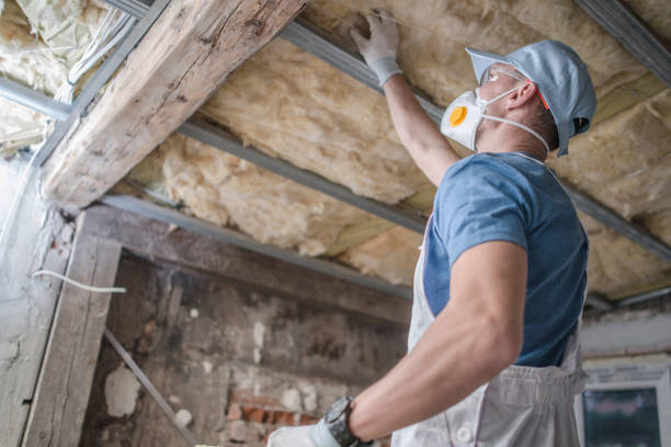 Best Cellulose Insulation in Paulding, OH